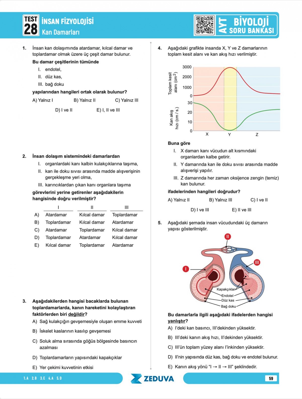 Zeduva Yayınları Biosem AYT Biyoloji 1 Kitap 3 Kamp Soru Bankası