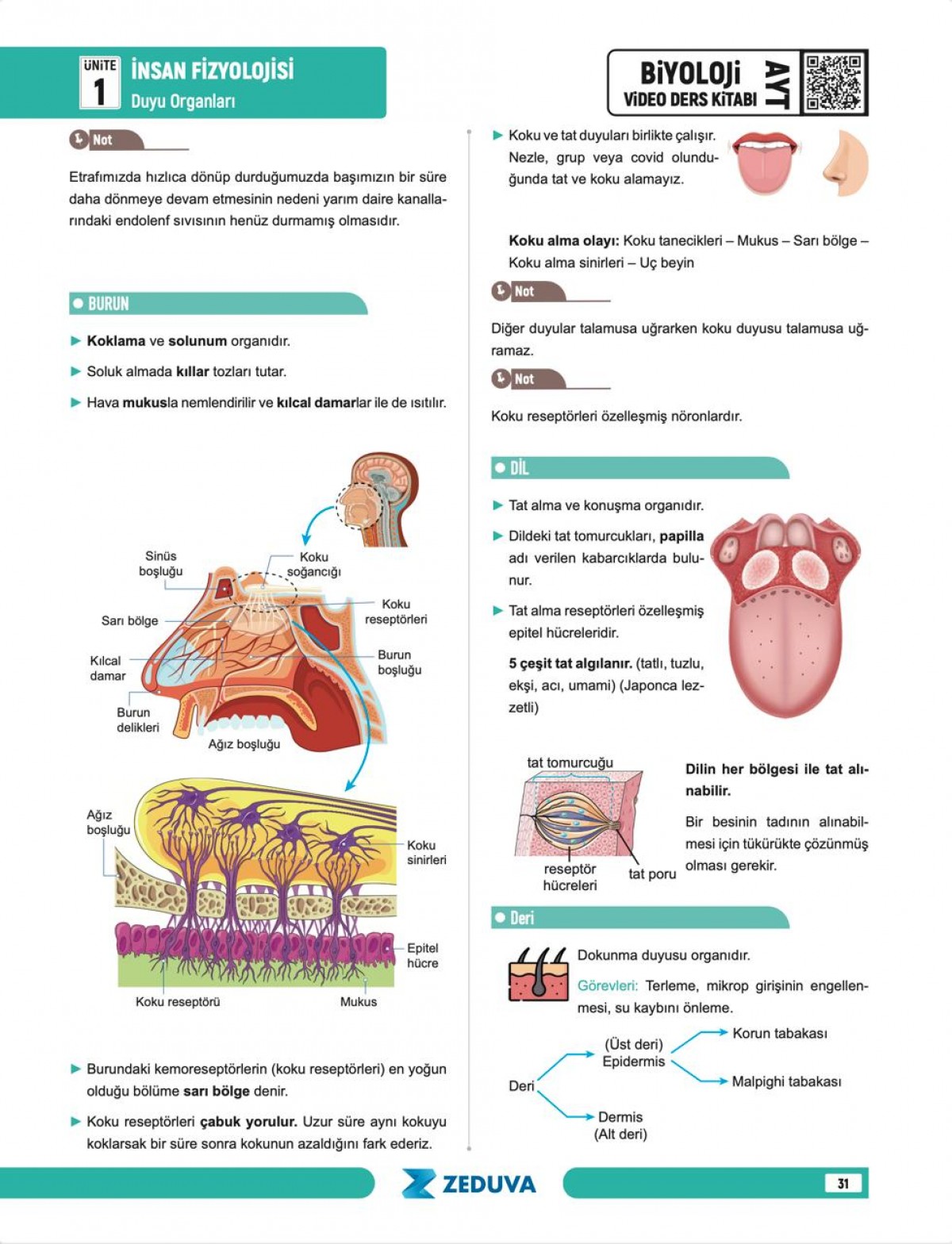 Zeduva Yayınları Biosem AYT Biyoloji 1 Kitap 3 Kamp Video Ders Kitabı