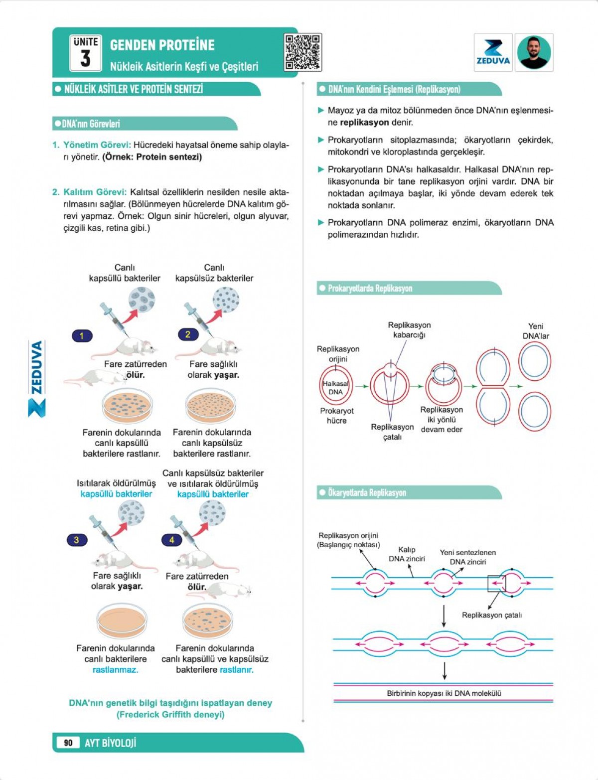 Zeduva Yayınları Biosem AYT Biyoloji 1 Kitap 3 Kamp Video Ders Kitabı