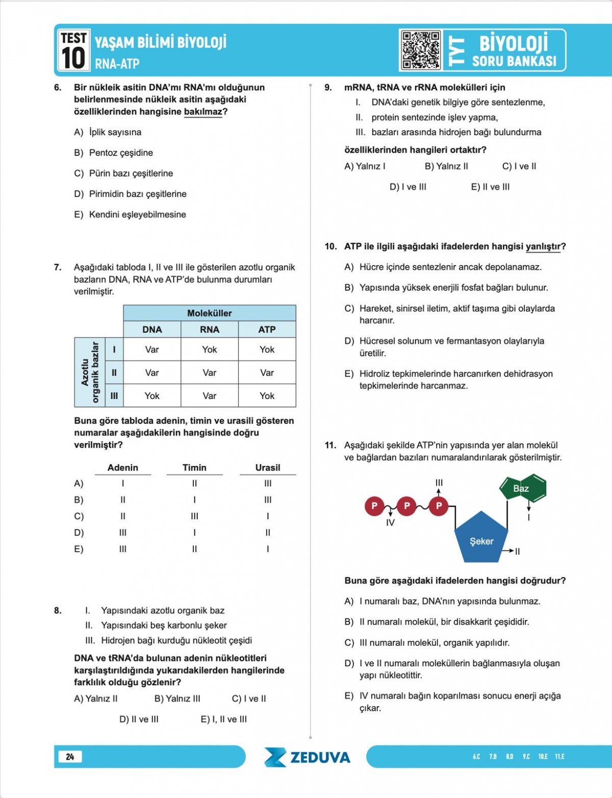 Zeduva Yayınları Biosem TYT Biyoloji 1 Kitap 3 Kamp Soru Bankası