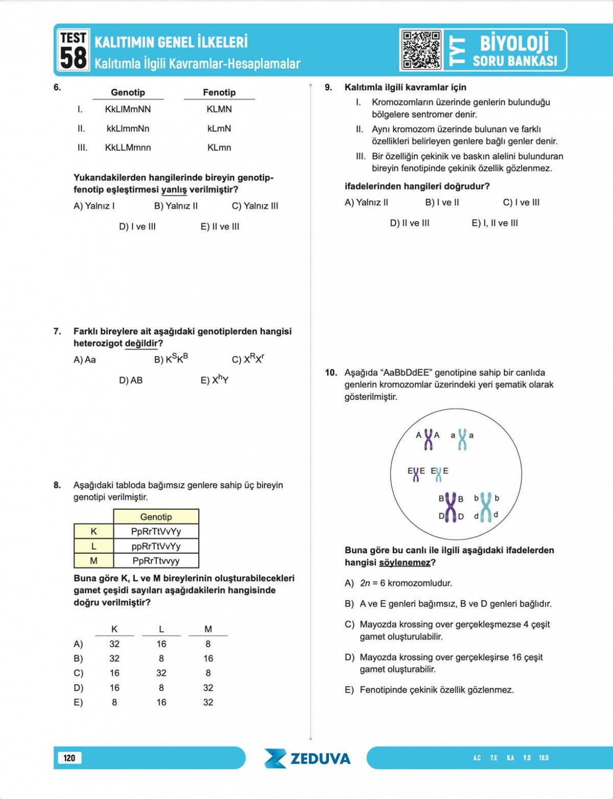 Zeduva Yayınları Biosem TYT Biyoloji 1 Kitap 3 Kamp Soru Bankası
