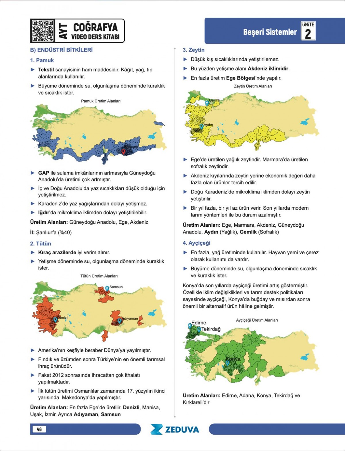 Zeduva Yayınları Coğrafyanın Kodları AYT Coğrafya 1 Kitap 3 Kamp Video Ders Kitabı